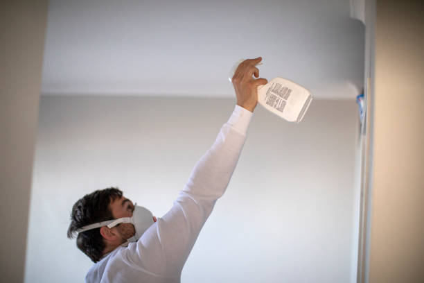 Best Home Mold Removal  in Keaau, HI