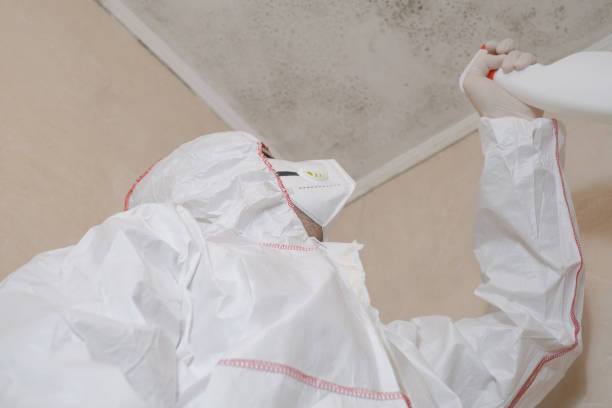 Best Professional Mold Removal  in Keaau, HI