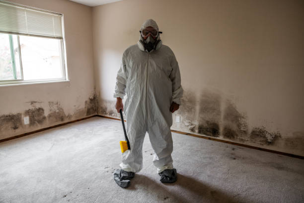 Best Local Mold Removal Service  in Keaau, HI